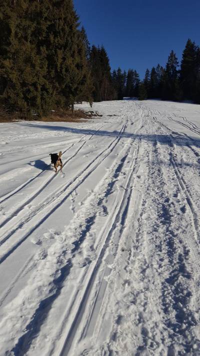 Stare Wierchy Stare Wierchy