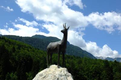 Bohinjsko Jezero, Bohinj Bohinjsko Jezero, Bohinj