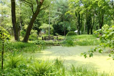 Ogród botaniczny w Zabrzu Ogród botaniczny w Zabrzu