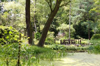 Ogród botaniczny w Zabrzu Ogród botaniczny w Zabrzu