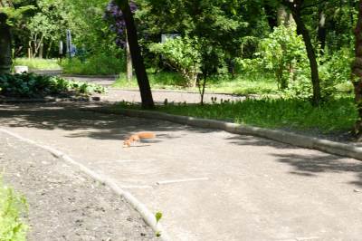 Ogród botaniczny w Zabrzu Ogród botaniczny w Zabrzu