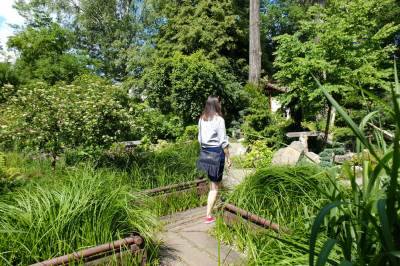 Ogród botaniczny w Zabrzu Ogród botaniczny w Zabrzu