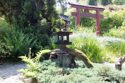 Ogród botaniczny w Zabrzu Ogród botaniczny w Zabrzu