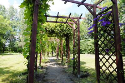 Ogród botaniczny w Zabrzu Ogród botaniczny w Zabrzu