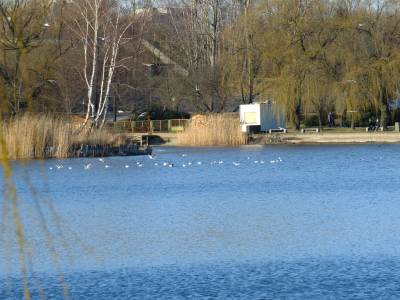 Park w Świętochłowicach "Skałka" Park w Świętochłowicach "Skałka"