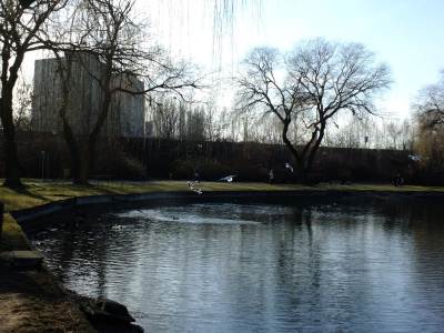 Park w Świętochłowicach "Skałka" Park w Świętochłowicach "Skałka"