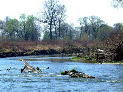 Meandry Odry Meandry Odry