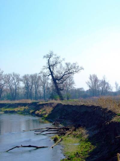 Meandry Odry Meandry Odry