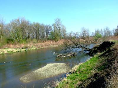 Meandry Odry Meandry Odry