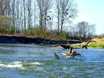 Meandry Odry Meandry Odry