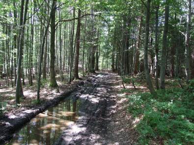 Magurka Radziechowska, Skrzyczne Magurka Radziechowska, Skrzyczne