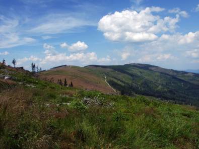 Magurka Radziechowska, Skrzyczne Magurka Radziechowska, Skrzyczne