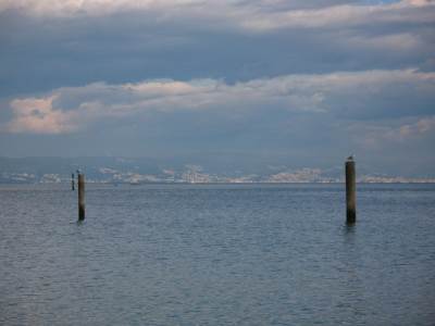 Złombol 2014 - Luźne Gacie Bez Suwaka - Grado Złombol 2014 - Luźne Gacie Bez Suwaka - Grado