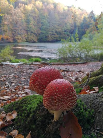 Jeziorka Duszatyńskie Jeziorka Duszatyńskie