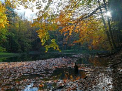 Jeziorka Duszatyńskie