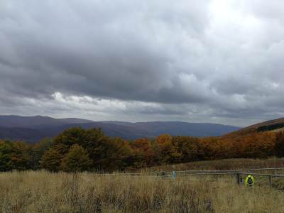 Połonina Wetlińska Połonina Wetlińska