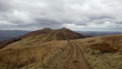 Połonina Wetlińska Połonina Wetlińska
