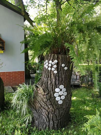 Ogród botaniczny w Zabrzu Ogród botaniczny w Zabrzu