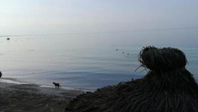 Kuszadasi [Kuşadası]
