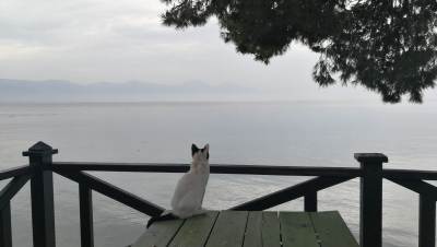 Kuszadasi [Kuşadası]