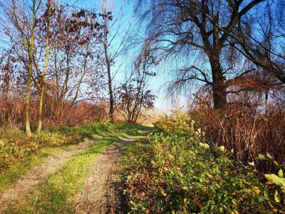 MEANDRY ODRY MEANDRY ODRY