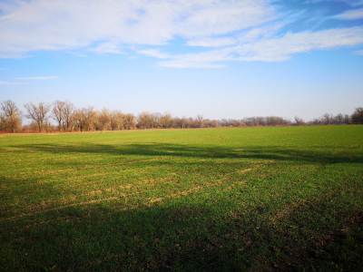 Meandry Odry Meandry Odry