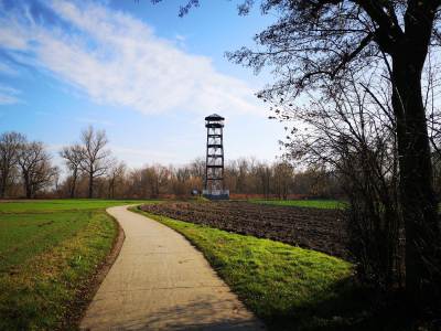 Meandry Odry Meandry Odry