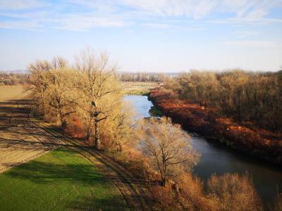 Meandry Odry Meandry Odry