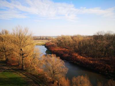 Meandry Odry Meandry Odry