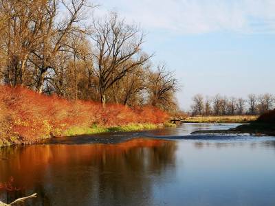 Meandry Odry Meandry Odry