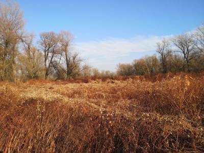 Meandry Odry Meandry Odry