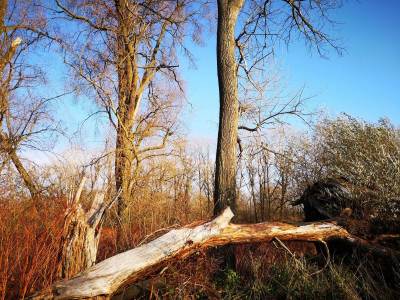 Meandry Odry Meandry Odry