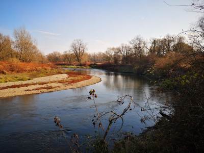 Meandry Odry Meandry Odry