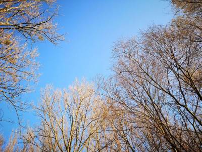 Meandry Odry Meandry Odry