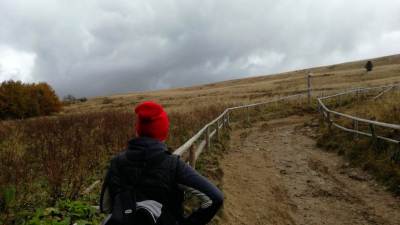 Połonina Wetlińska Połonina Wetlińska