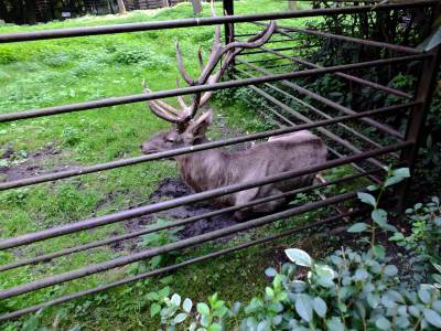 ZOO Ostrawa (Ostrava) ZOO Ostrawa (Ostrava)