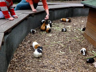 ZOO Ostrawa (Ostrava) ZOO Ostrawa (Ostrava)