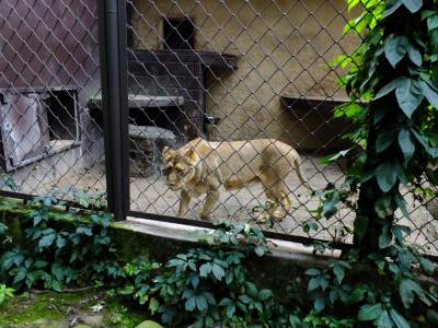 ZOO Ostrawa (Ostrava) ZOO Ostrawa (Ostrava)