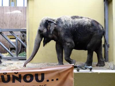 ZOO Ostrawa (Ostrava) ZOO Ostrawa (Ostrava)