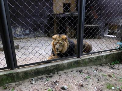 ZOO Ostrawa (Ostrava) ZOO Ostrawa (Ostrava)