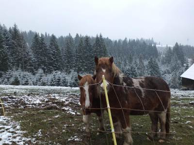 Trójstyk Polska-Czechy-Słowacja, Jaworzynka Trójstyk Polska-Czechy-Słowacja, Jaworzynka