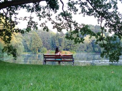 Park w Świerklańcu Park w Świerklańcu