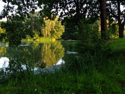 Park w Świerklańcu Park w Świerklańcu