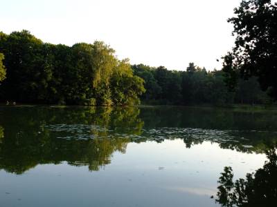 Park w Świerklańcu Park w Świerklańcu