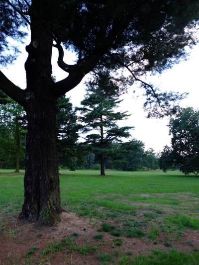 Park w Świerklańcu Park w Świerklańcu