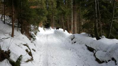 Stare Wierchy Stare Wierchy