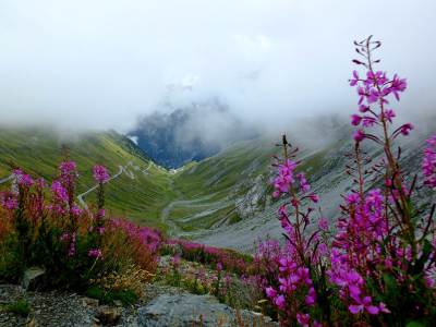 ZŁOMBOL 2015, BORMIO – PRAD AM STILFSER JOCH VIA. PASSO DELLO STELVIO ZŁOMBOL 2015, BORMIO – PRAD AM STILFSER JOCH VIA. PASSO DELLO STELVIO