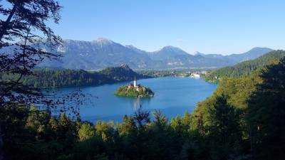 Bled Bled