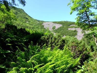 Babia Góra Babia Góra