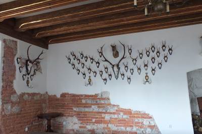 Orle Gniazda - Zamek w Korzkwi Orle Gniazda - Zamek w Korzkwi